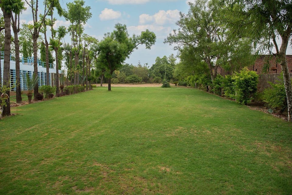 Natural landscape, Garden, Garden view