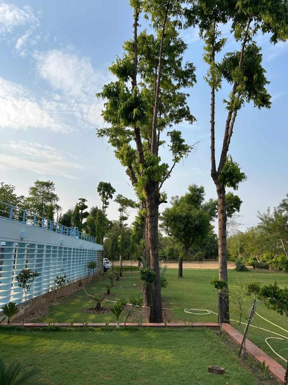 Agarwal Farms Farm Stay in Rajasthan