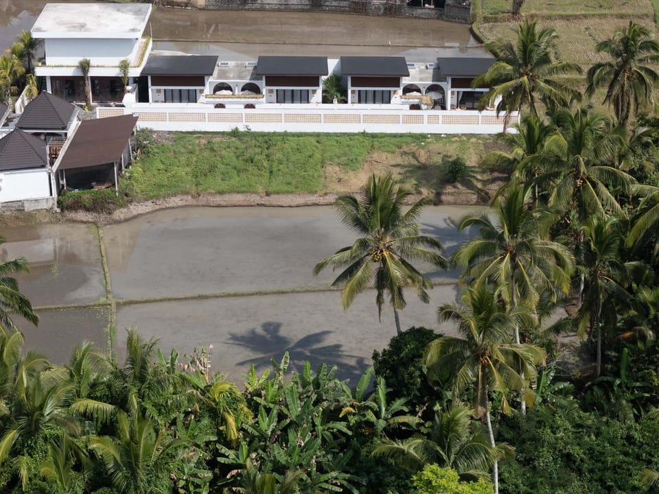 Area and facilities, Area and facilities
