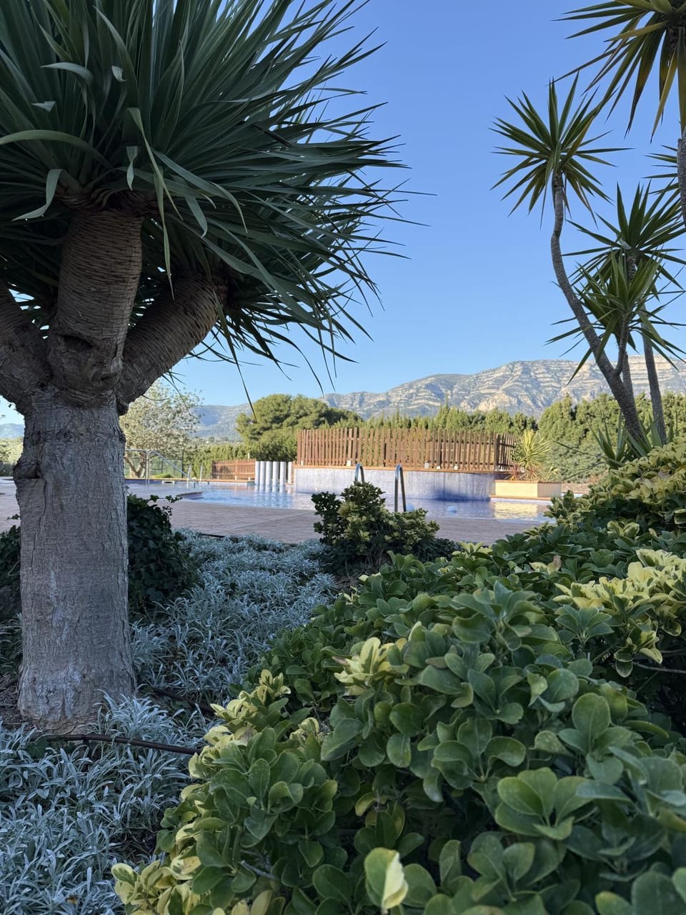 Garden view