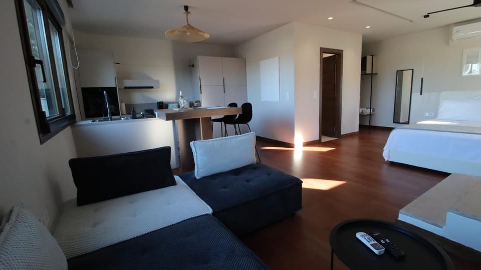 Ianos Living Spaces - 01 Apartment in Islands
