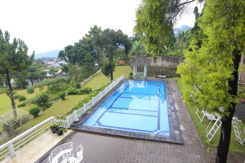 Natural landscape, Pool view, Swimming pool, Swimming pool