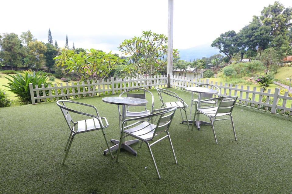 Day, Garden view