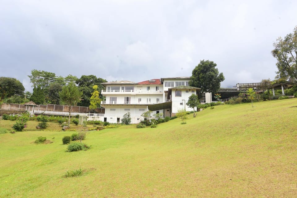 Property building, Day, Garden view