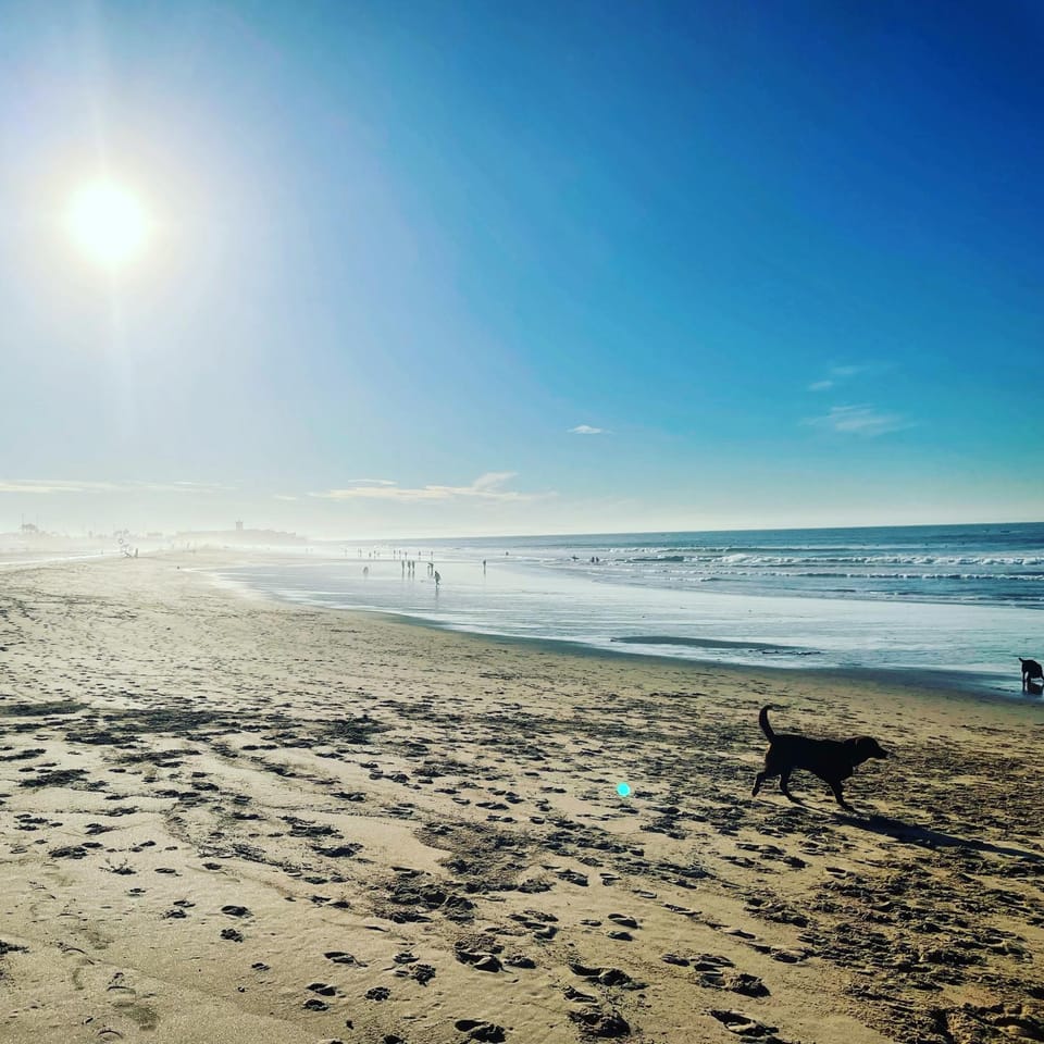 Beach