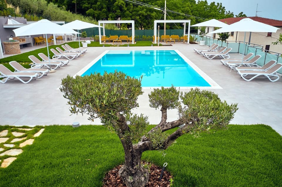 Day, Natural landscape, Garden, Garden view, Pool view, Swimming pool, sunbed