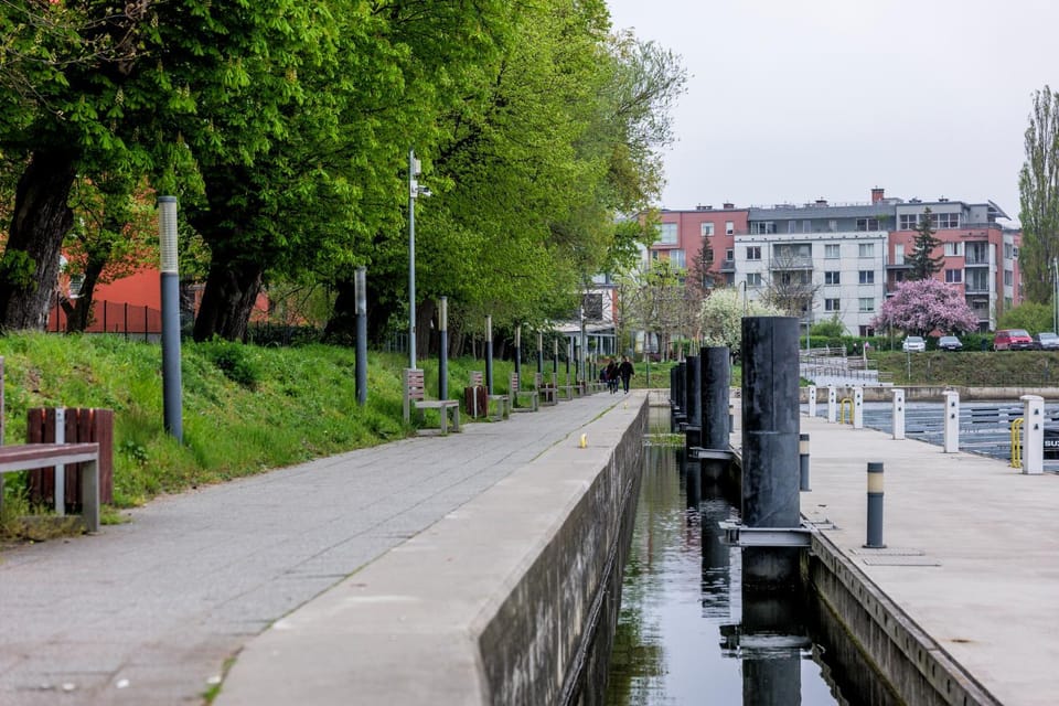 Natural landscape, River view