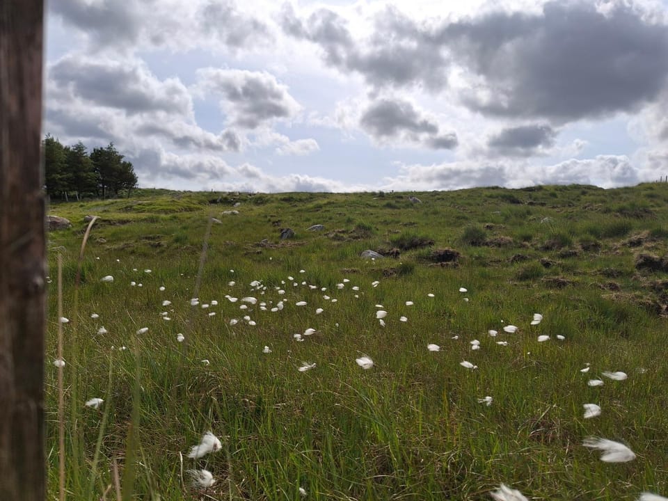 Wooly Huts Green Nature lodge in Westport