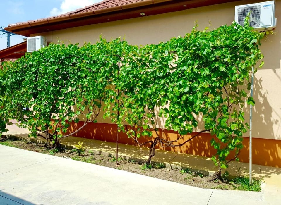 Property building, Garden