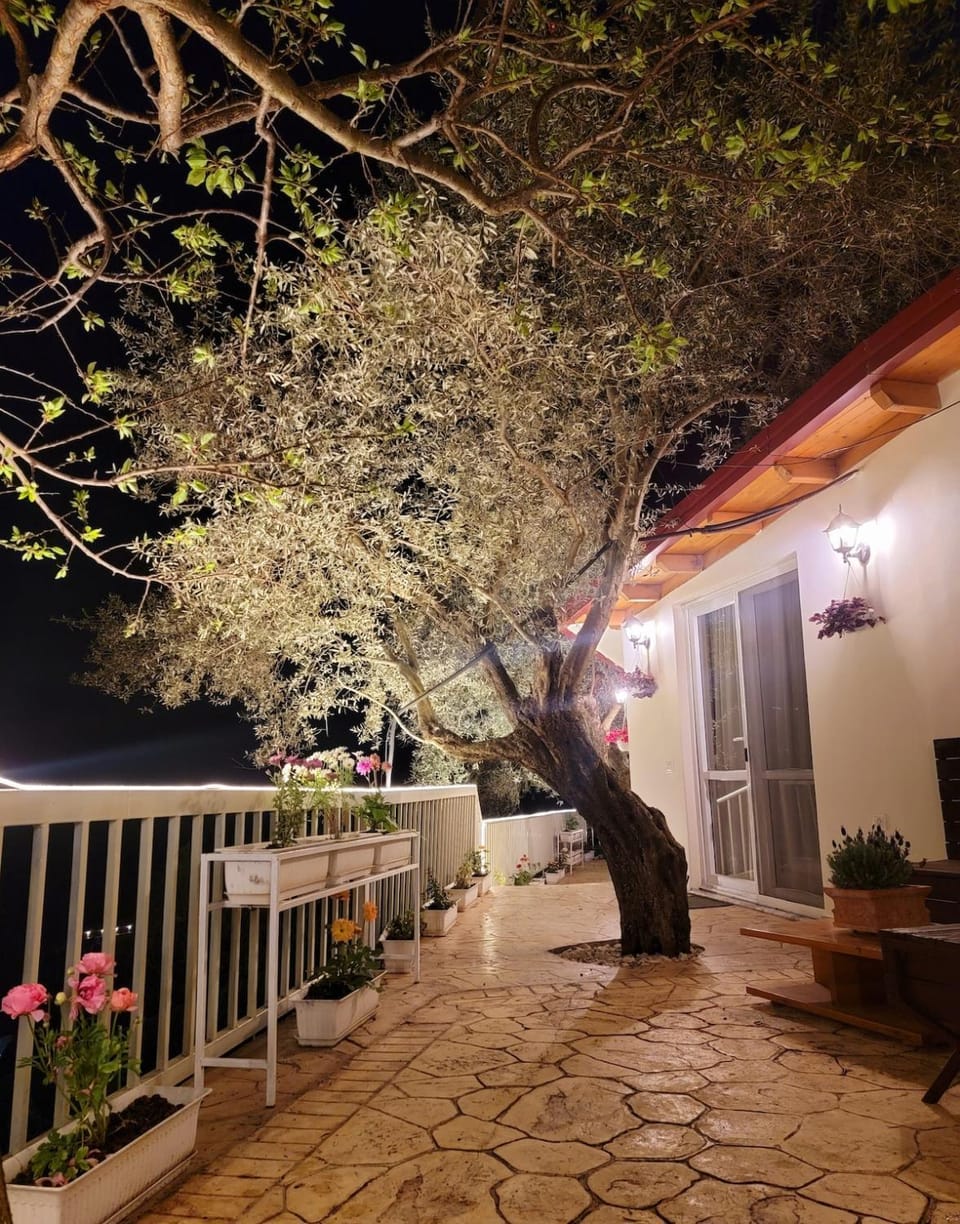 Patio, Garden, Balcony/Terrace, Garden view