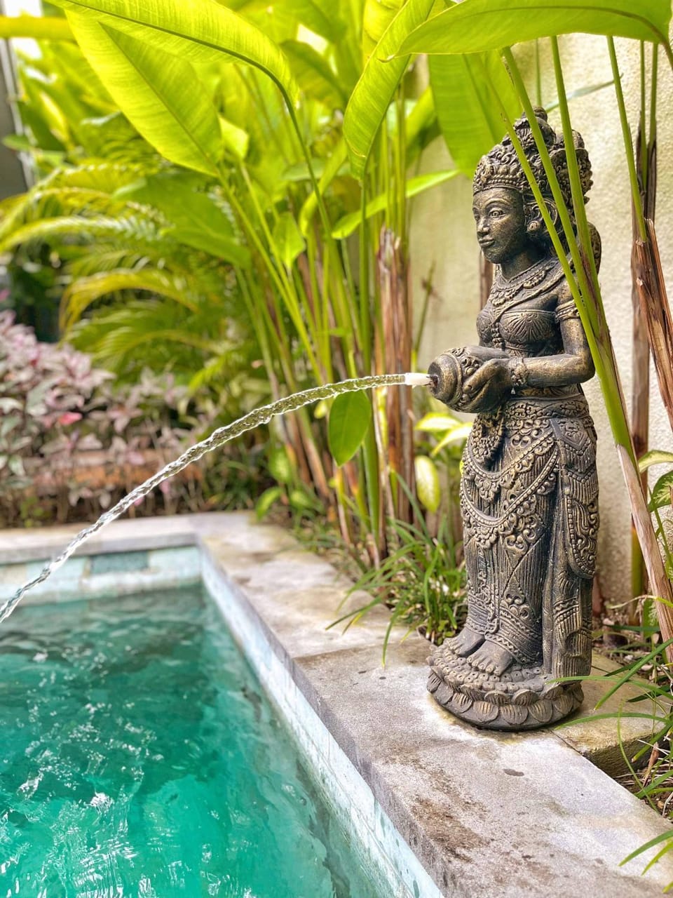Garden, Garden view, Pool view, Swimming pool