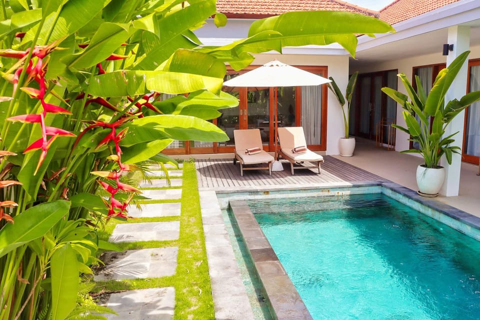 Garden, Garden view, Pool view, Swimming pool