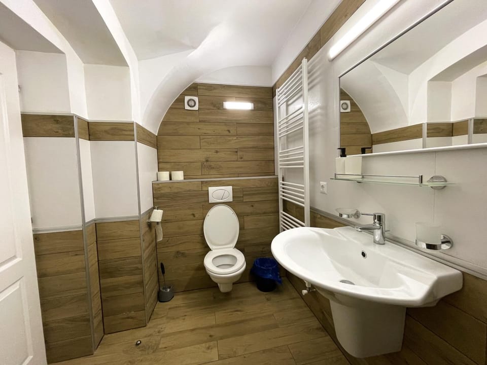 Shower, Toilet, Bathroom, towels