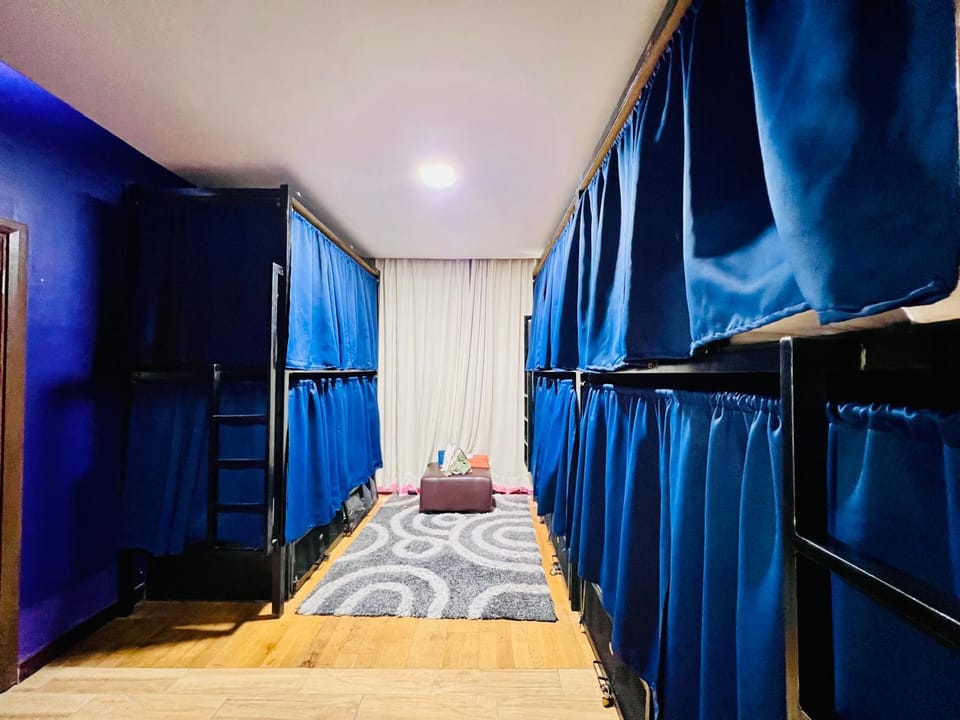 bunk bed