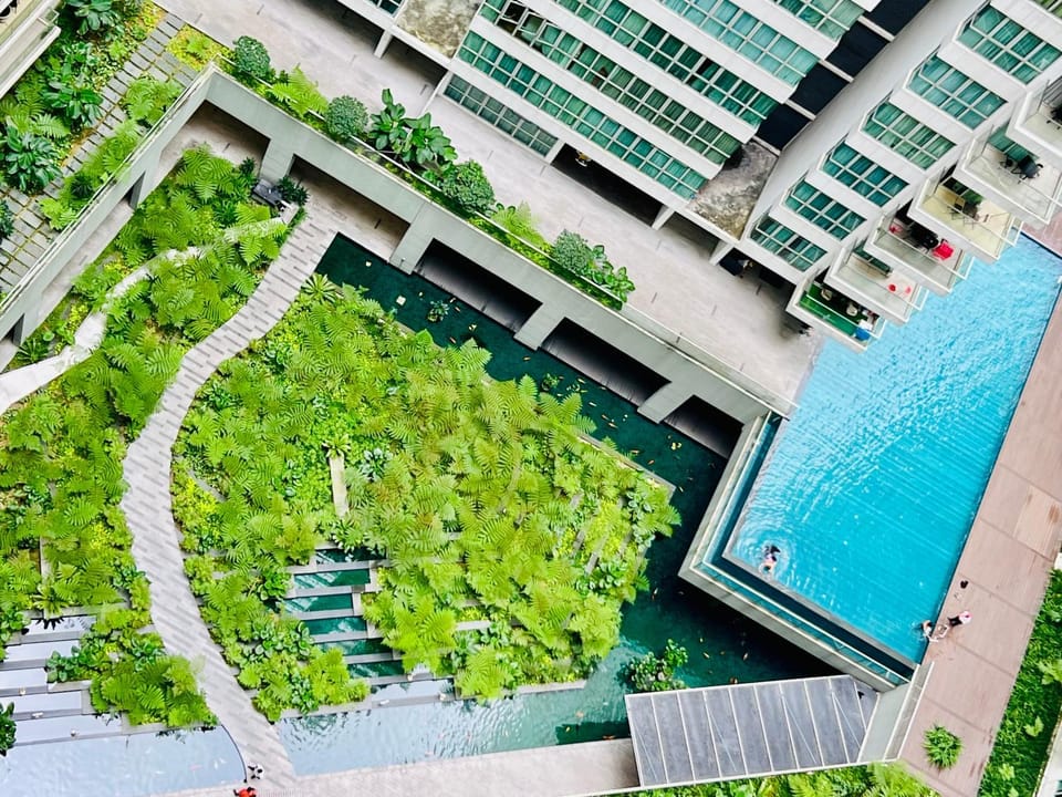 Property building, Day, Natural landscape, Garden, Garden view, Pool view, Swimming pool