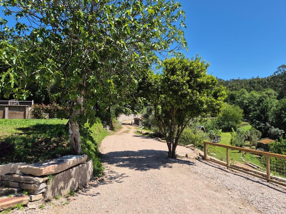 Day, Garden view