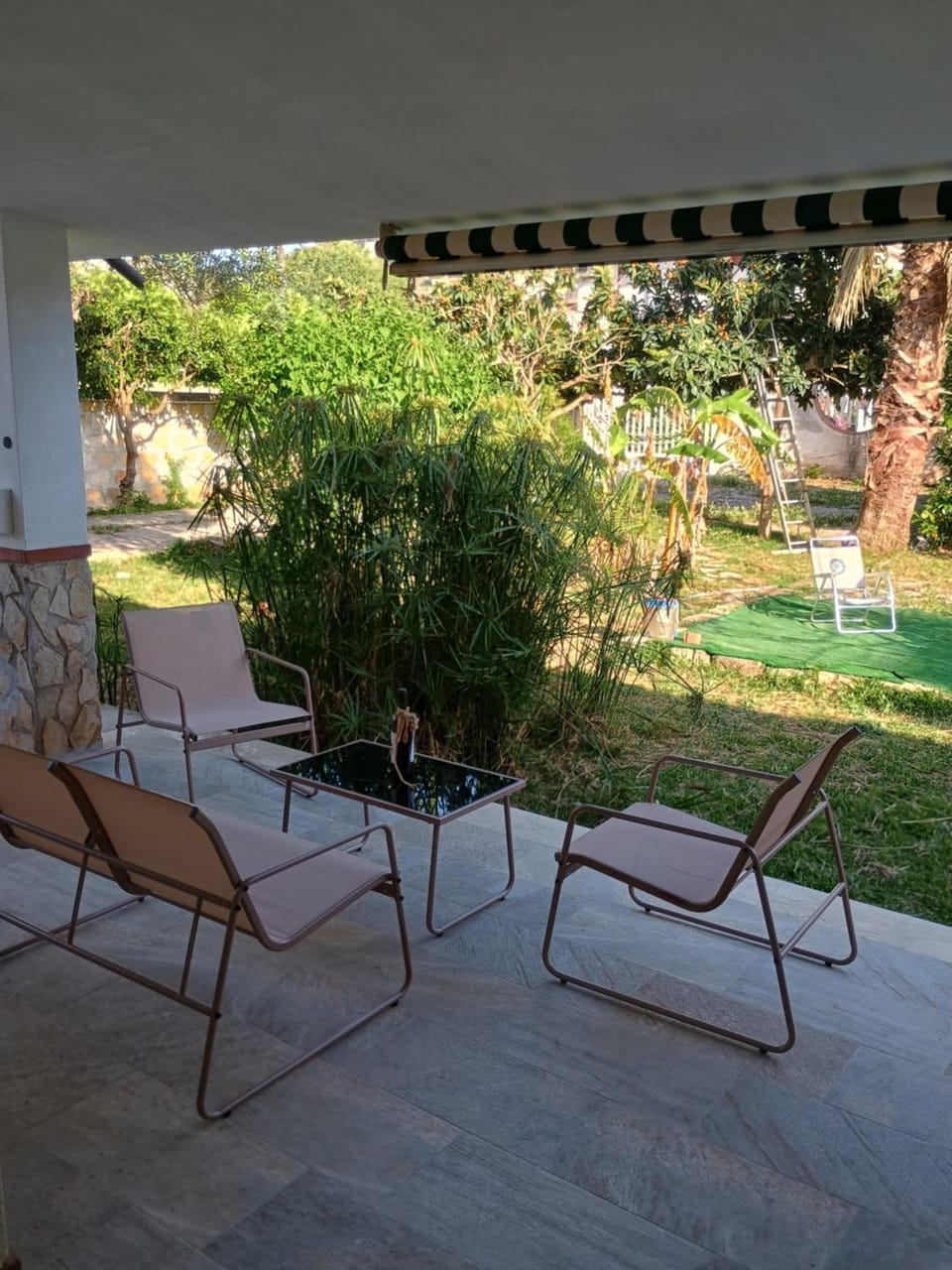 Garden view