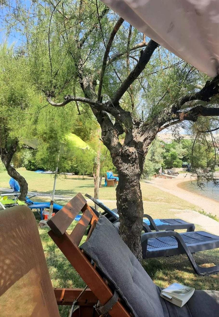 Garden, Beach, sunbed