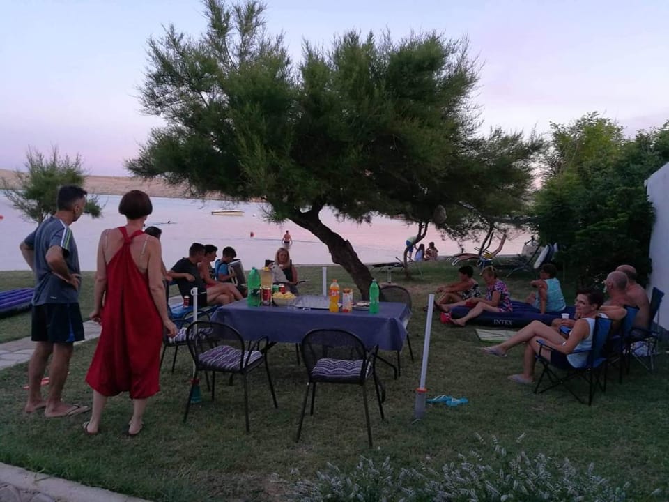 People, Garden, group of guests