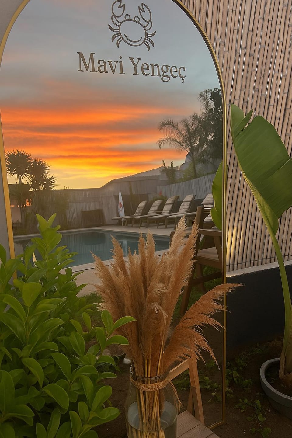 Natural landscape, Garden, Garden view, Swimming pool, Sunset, sunbed