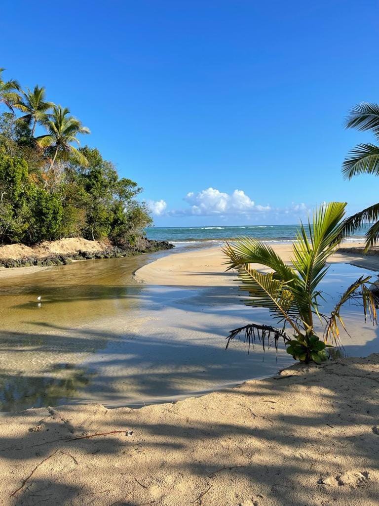 Waterfront apartment Apartment in Las Terrenas