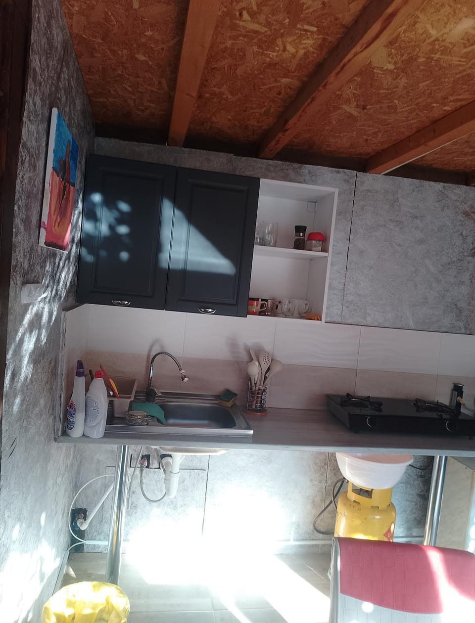 Irina Holiday House Bed and Breakfast in Dobrich Province, Bulgaria