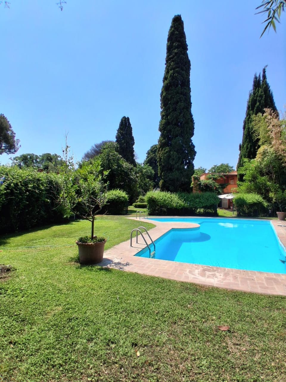 Natural landscape, Garden, Garden view, Pool view, Swimming pool, sunbed