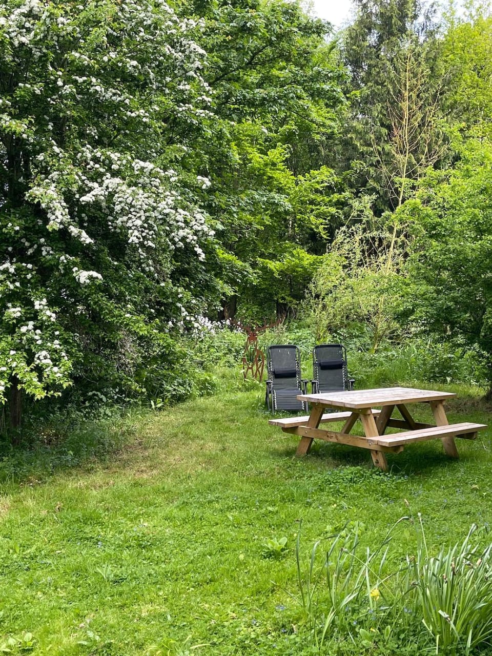 Daisy-a romantic logcabin hiding amongst the trees Cabin in East Devon District