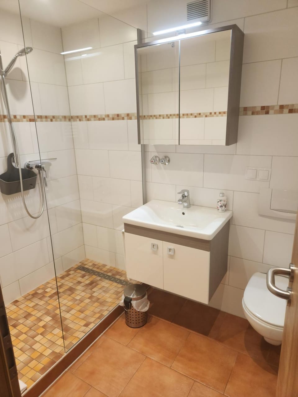 Shower, Toilet, Bathroom