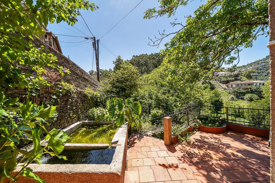 Natural landscape, Garden