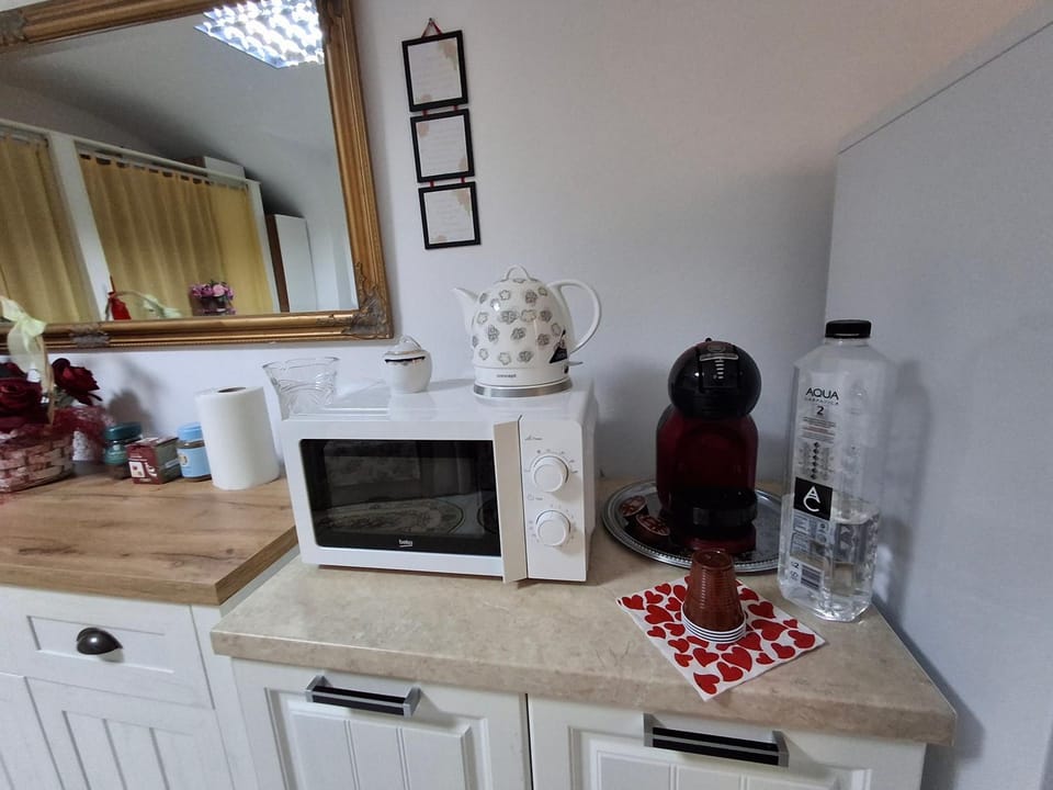 Ultracentral STUDIO Koket Apartment in Timiș County