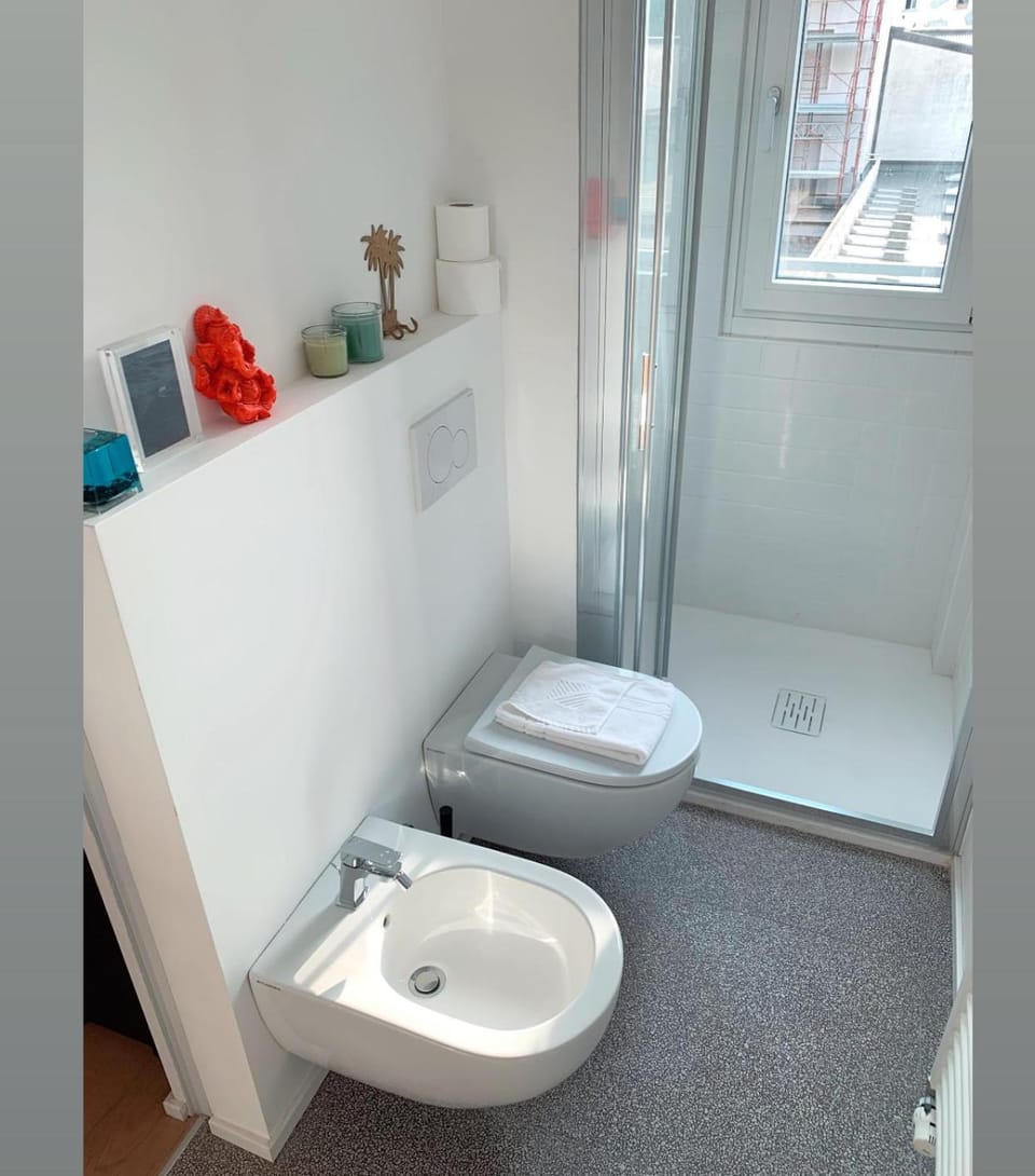 Toilet, Bathroom, bidet