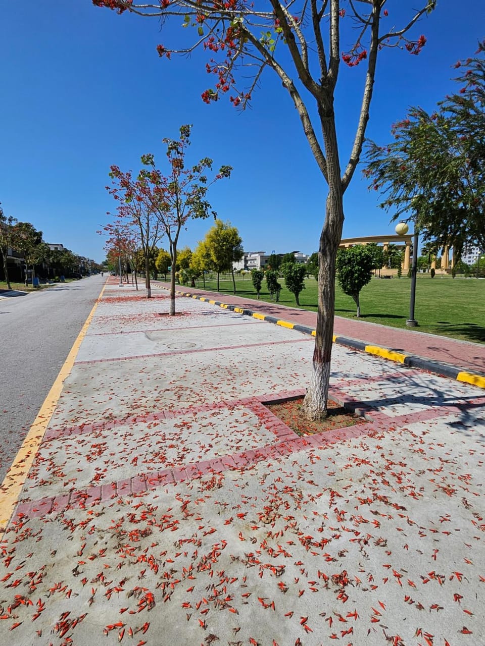 Nearby landmark, Day, Neighbourhood, Natural landscape