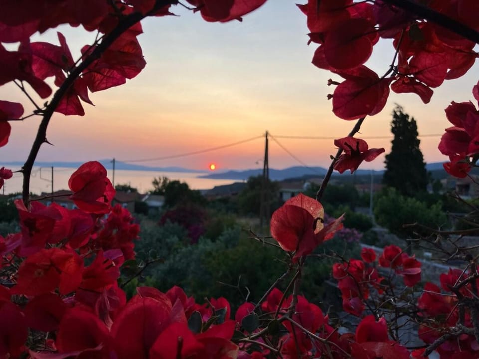 Bright Cozy Home with Terrace, Garden & Sea View House in Messenia