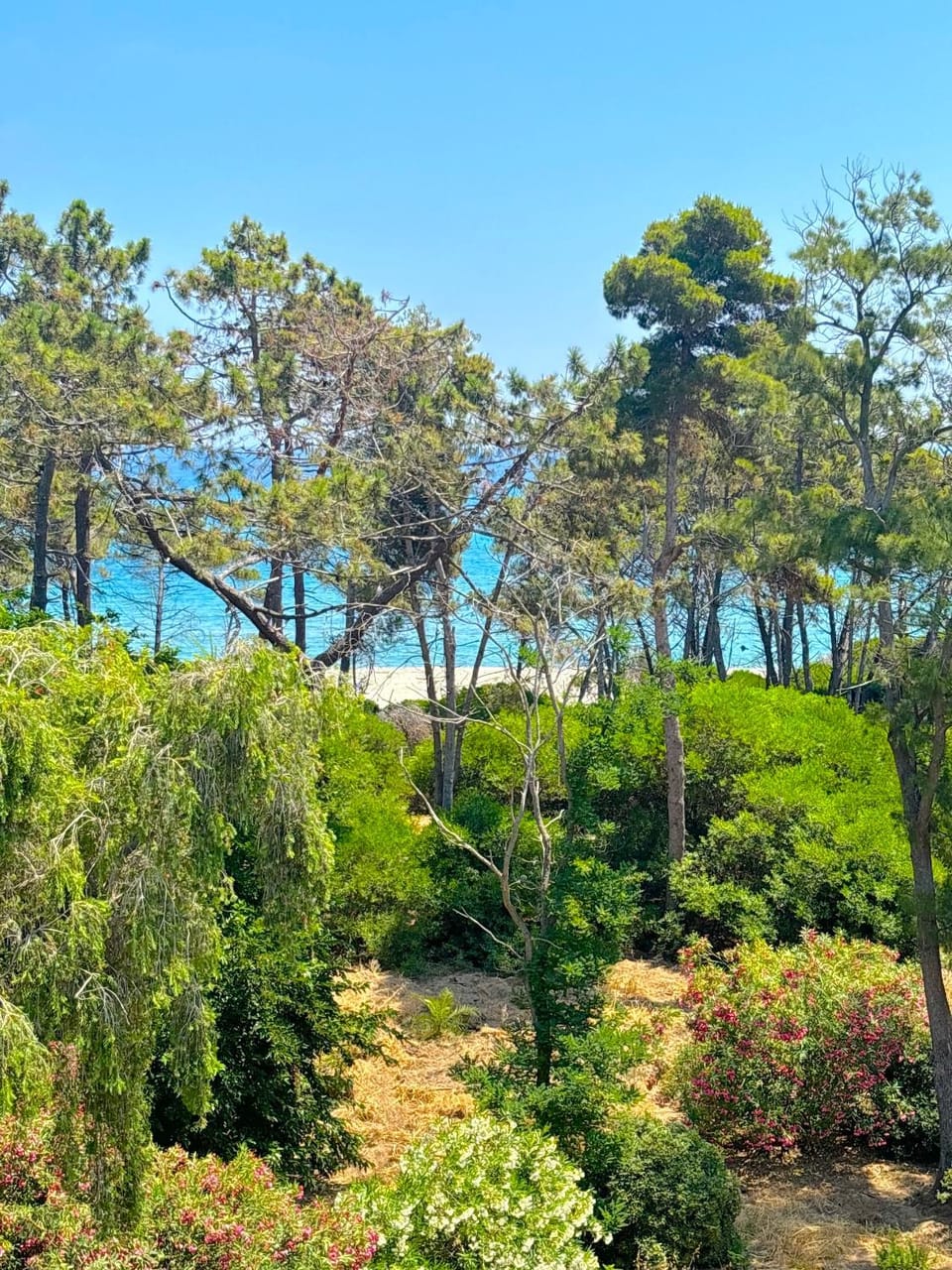 Nearby landmark, Spring, Day, Natural landscape, Beach, Lake view, Sea view