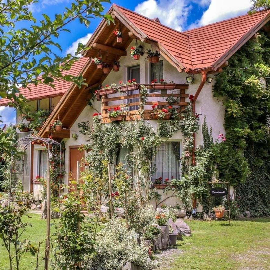 Cabana Csiki House in Romania