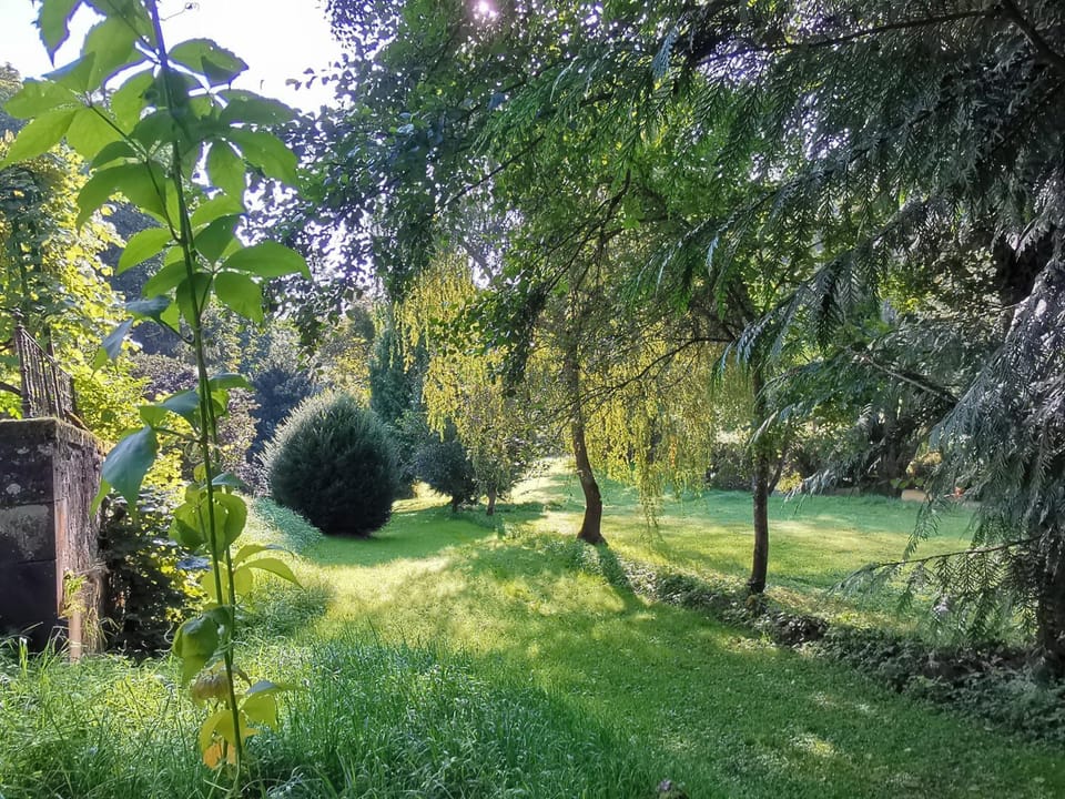 Natural landscape