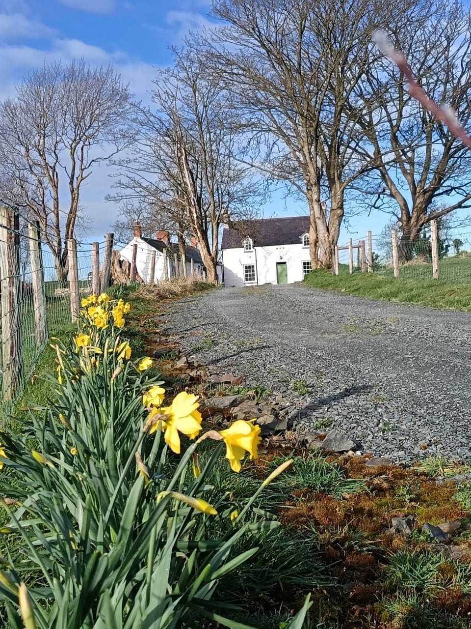 Jackdaw Cottage House in Northern Ireland