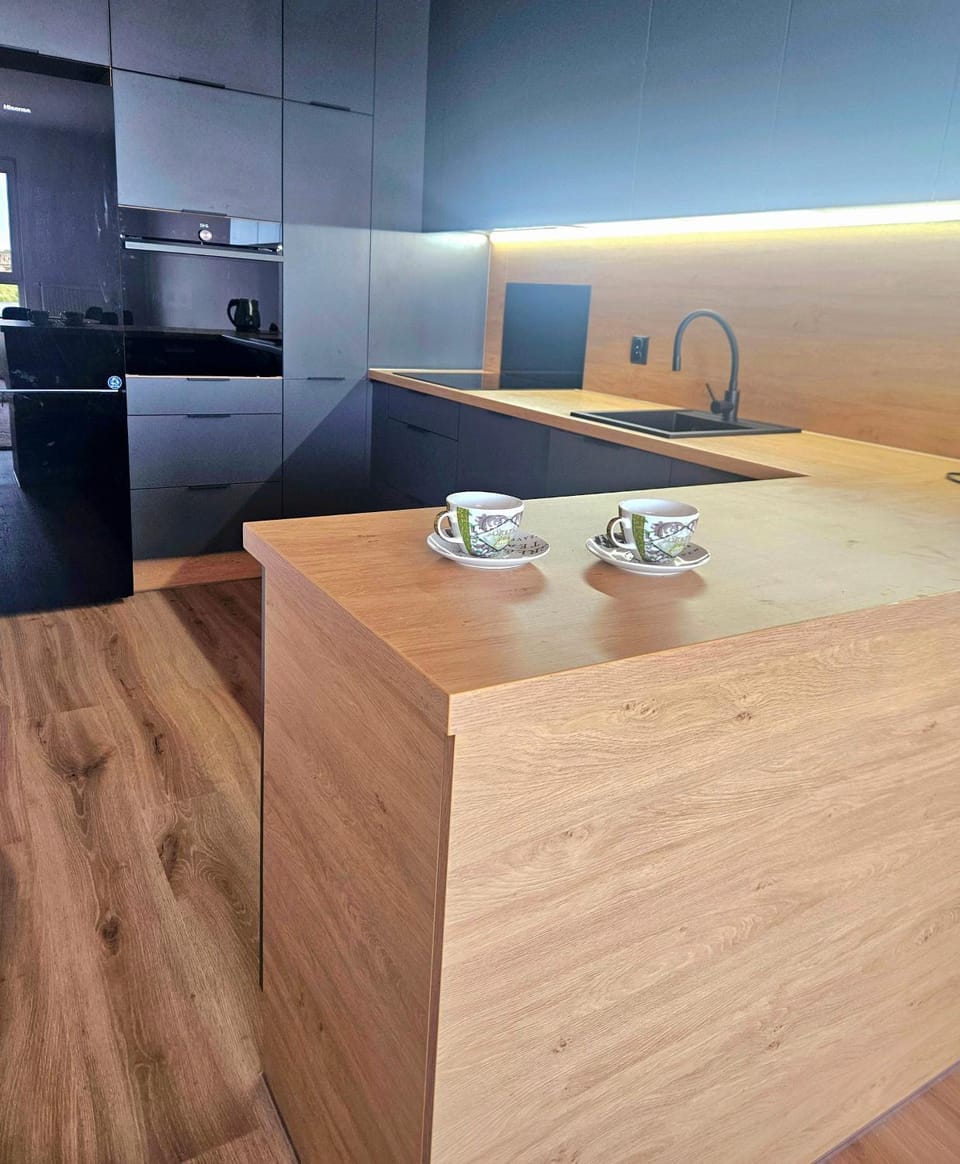 Nad Wisłą Apartment in Pomeranian Voivodeship