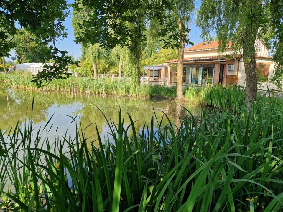 Gite villa Diana piscine House in Nouvelle-Aquitaine