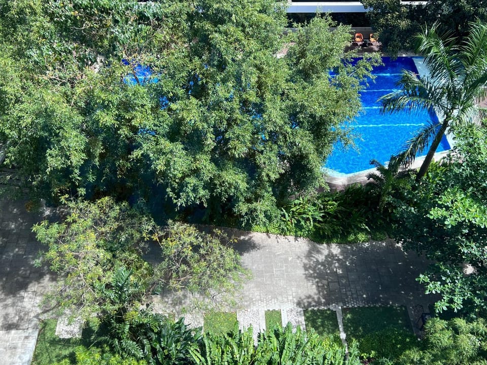 Pool view, Swimming pool