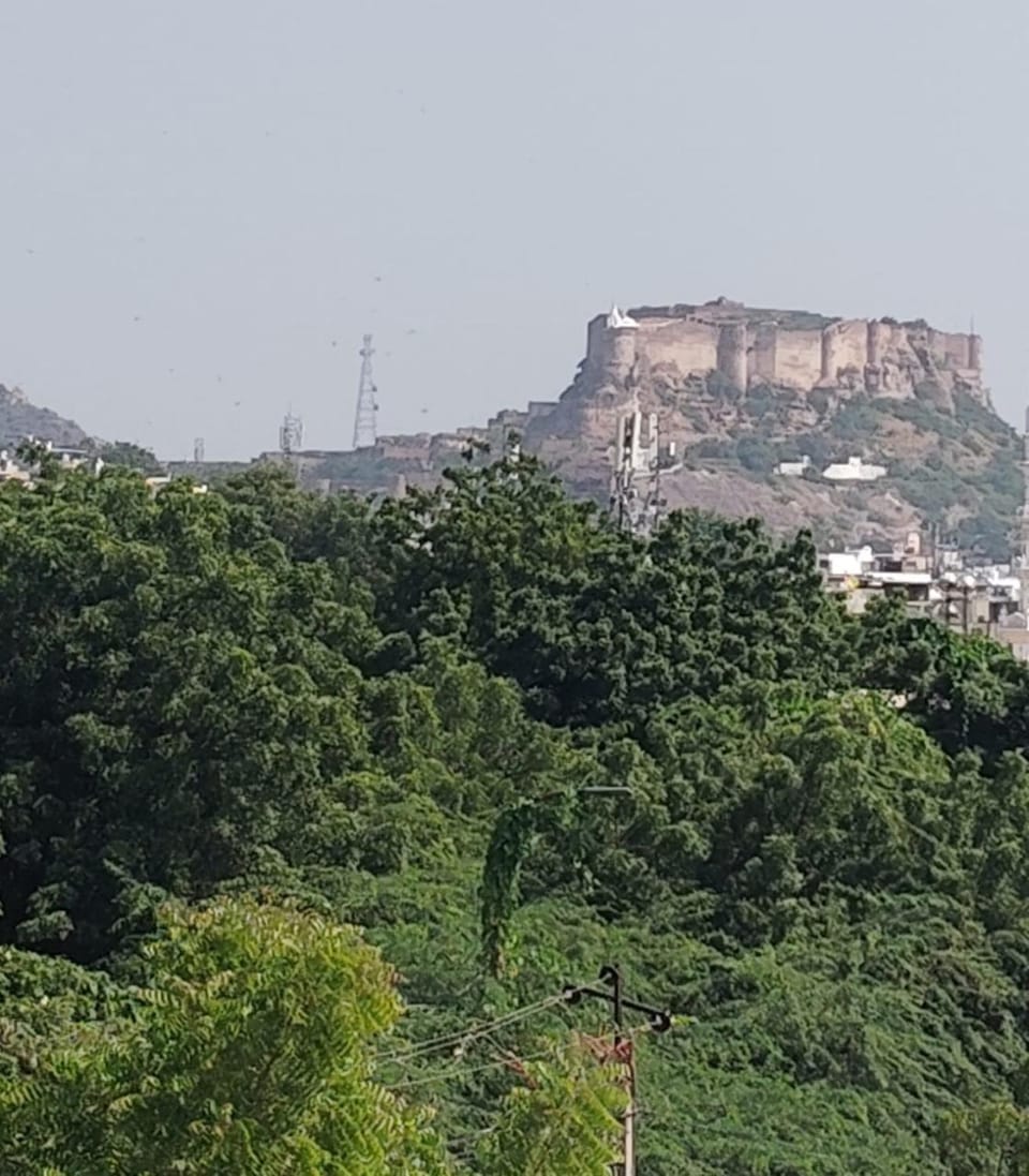 View (from property/room)