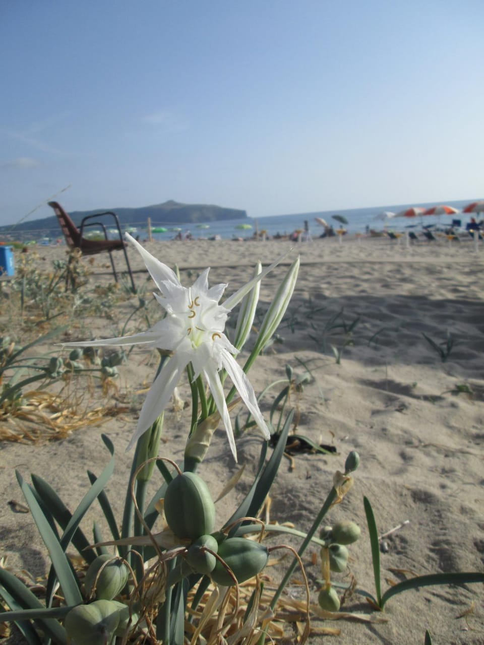 Natural landscape, Beach, Hiking, Sea view