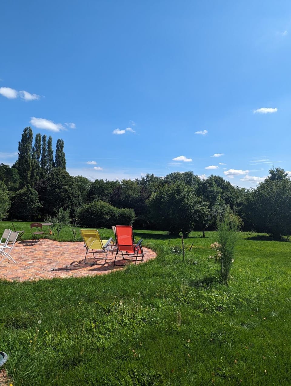 Patio, Patio, Garden, Garden view, sunbed