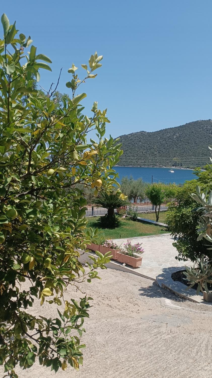 Garden, Sea view