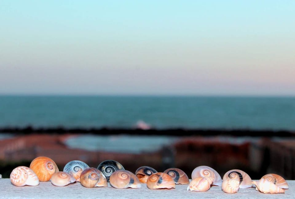 Sea view