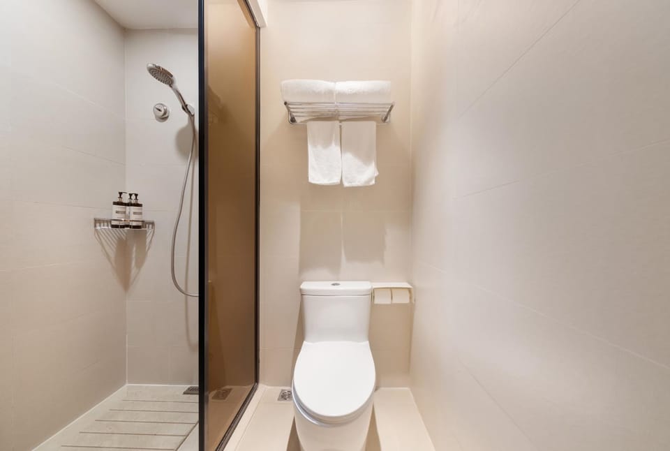 Shower, Toilet, Bathroom, towels