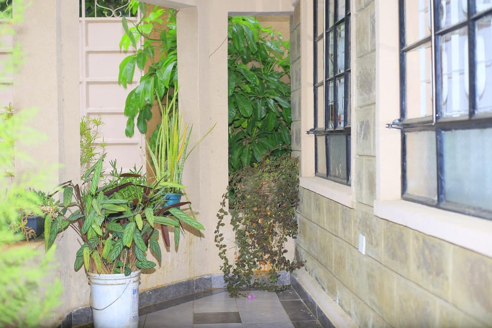 Spring, Garden, Garden view
