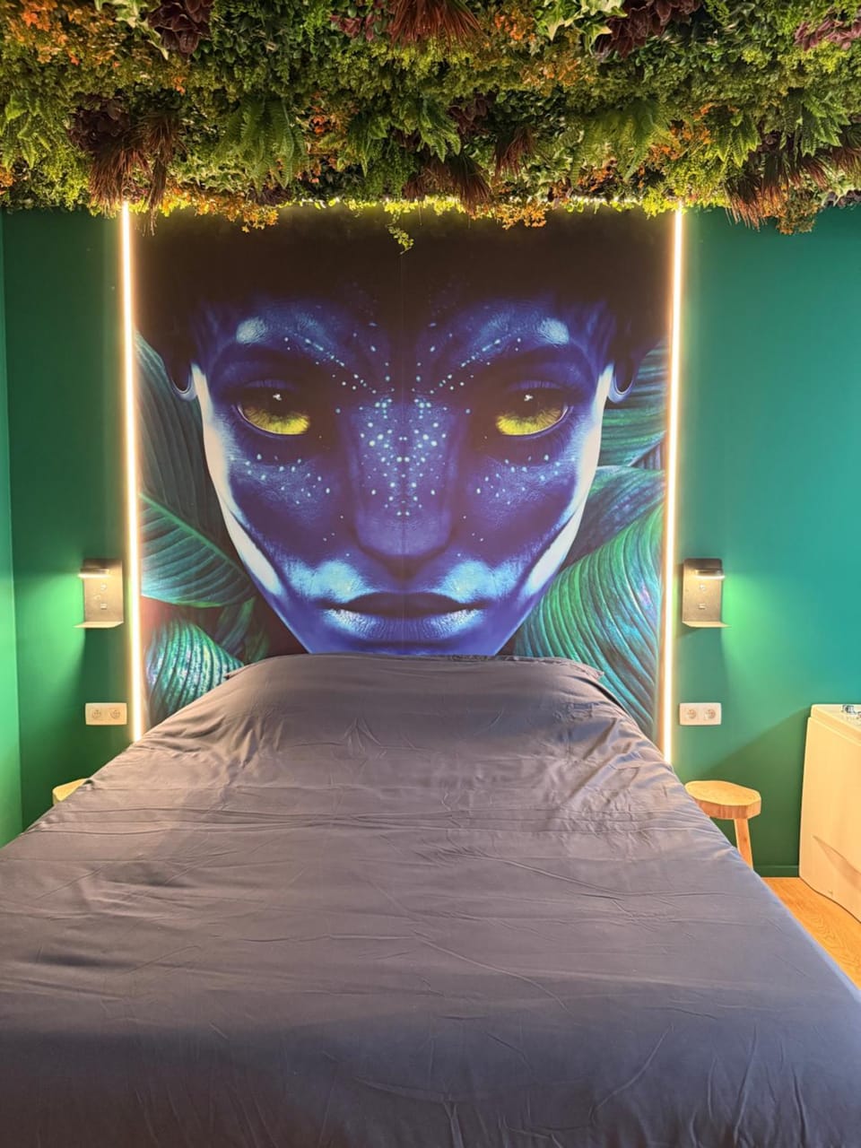 Photo of the whole room