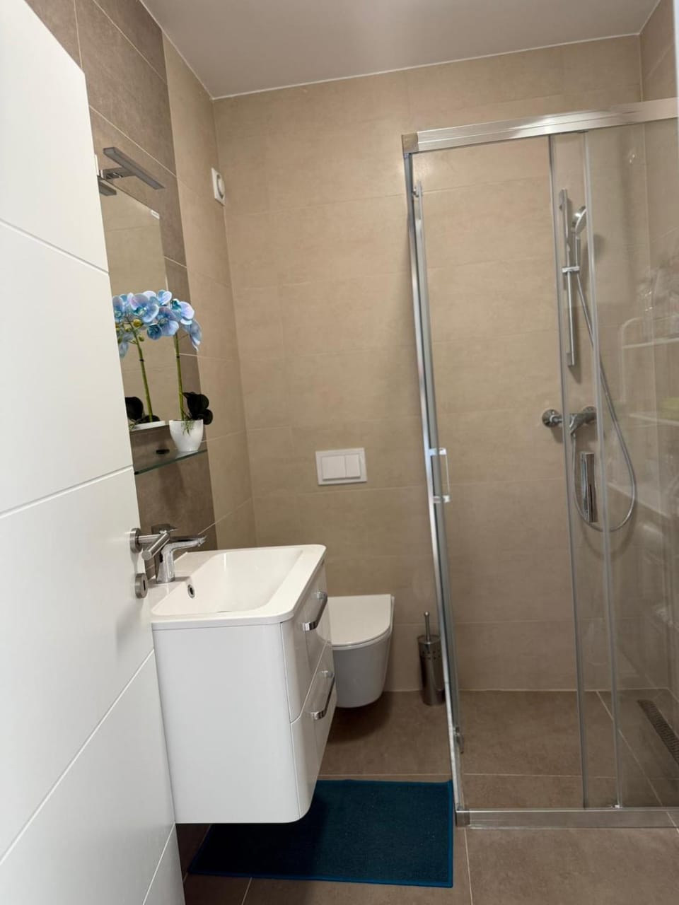 Shower, Toilet, towels